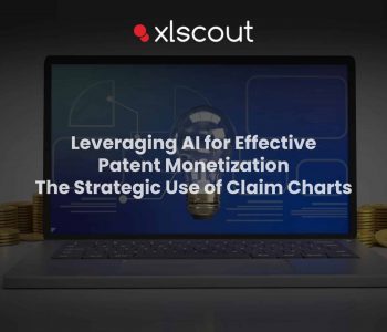 Patent Monetization